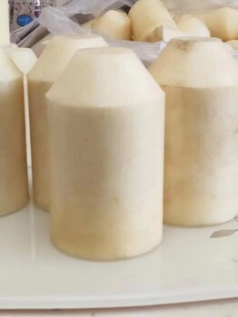 海南共和酸洗钝化,清洗发酵罐推荐公司