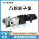 秦平-QP120M不锈钢转子泵-双端机封配变频电机-污水污泥输送泵