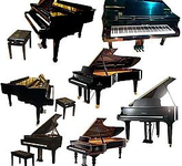 钢琴、手风琴、电子乐器、中国乐器修理