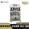 小型2頭高速面膜灌裝機自動灌裝封口不銹鋼304面膜機