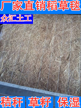 內(nèi)蒙古椰絲護(hù)坡植草毯礦山修復(fù)綠化植草毯高速邊坡草坪毯