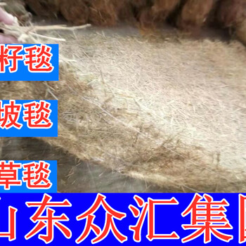 300G椰絲毯三層護(hù)坡植草綠化毯土工網(wǎng)