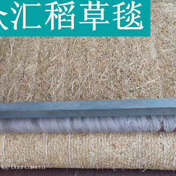 山西環保植草毯