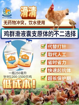 規?；B雞場(chǎng)現在都是怎么做新流二聯(lián)