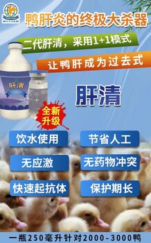 肉鴨鴨肝總是復發(fā)打了兩三次鴨肝都控制不住