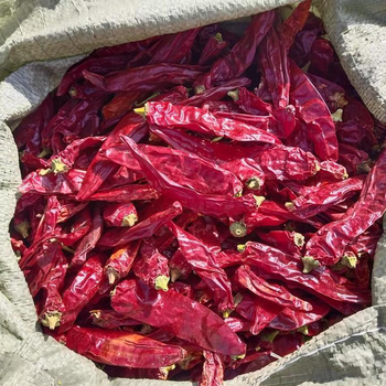 新疆庫爾勒板椒打粉加工廠