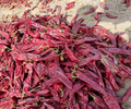 新疆焉耆县色素辣椒颗粒加工红龙23干辣椒打粉销售