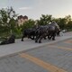 圖片_20230711071935