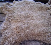 新西兰羊皮羊毛进口广州清关报关流程步骤分享详解快来看