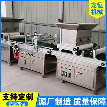 龍恒雙排搖臂式穴盤育苗機(jī)蔬菜藥材全自動(dòng)育苗播種機(jī)