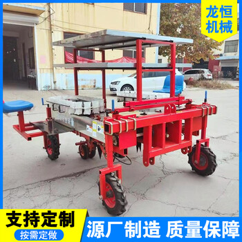萵苣萵筍移栽種苗機(jī)多功能蔬菜覆膜施插苗機(jī)支持定制