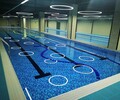 游泳池嬰兒兒童游泳池鋼結構游泳池成人游泳池泳池設備