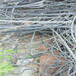 废铜铝线回收废铜铝线回收醴陵废铜铝线回收