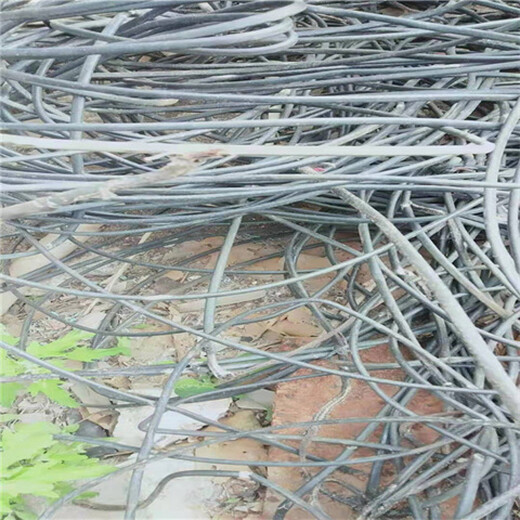 永清工程電纜回收永清低壓電纜回收