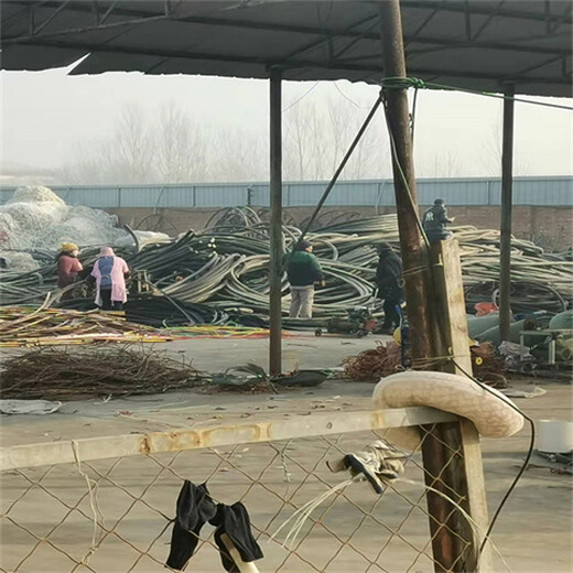 新區(qū)各種報(bào)廢電纜電線回收新區(qū)電纜回收