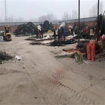 回收控制电缆回收巴里坤哈萨克自治施工剩余电缆回收