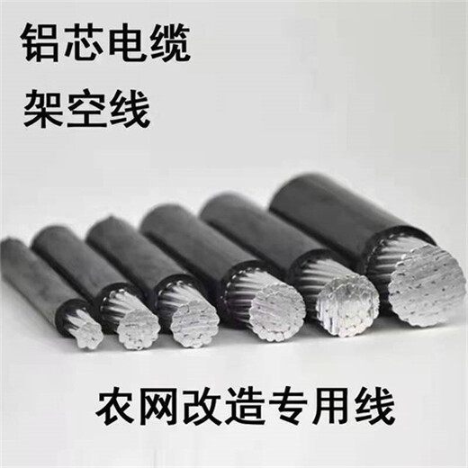 許昌發(fā)電電纜回收現(xiàn)場結(jié)算