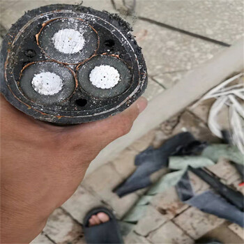 萬盛低壓電纜回收二手電纜回收上門回收