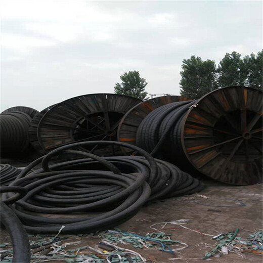 回收站工程电缆回收龙港区库存电缆回收