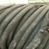 欢迎咨询变压器回收玛多电线电缆回收