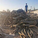 内蒙古巴彦淖尔电缆回收现场结算山东东营废铜铝线回收
