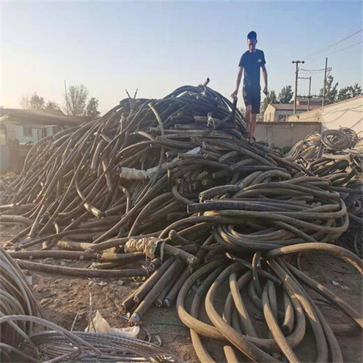 天津废旧电缆回收欢迎咨询