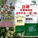 灰霉病煙劑