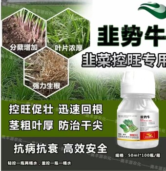 韭菜控旺，防治干尖，快速回根，抗病抗衰