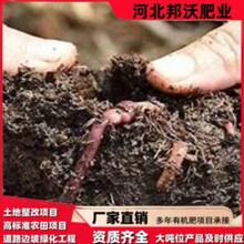发酵羊粪有机肥改良土壤肥效持久果树用肥大棚种植