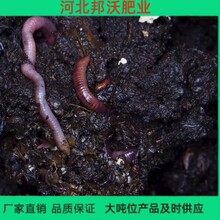 发酵蚯蚓粪有机肥瓜果蔬菜大田农作物通用肥肥效持久