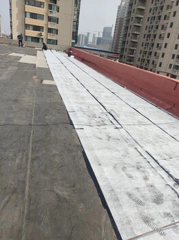 家漏水，找洛蒙。