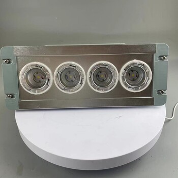 NFC9121-LED吸頂燈LED壁燈ip65三防泛光燈100w免維護(hù)節(jié)能燈