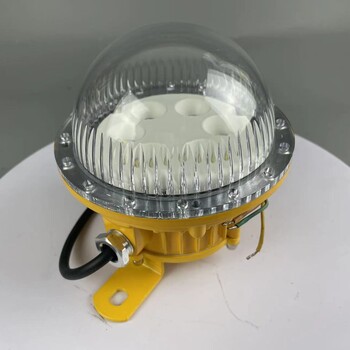 LED防爆吸頂燈15w投光燈防爆防腐耐高溫工廠燈