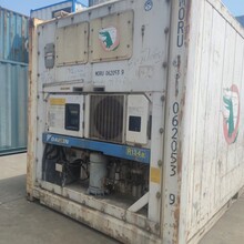 杭州标准6米12米海运冷藏冷冻集装箱租赁出售欢迎咨询