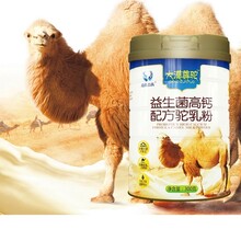 驼奶粉批发骆驼奶粉招商骆驼奶粉代加工