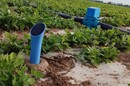 高标准农田节水自动灌溉三通球阀