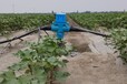 新疆昌吉高标准农田节水数字电动阀