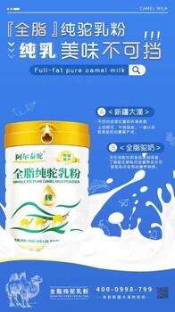 節(jié)日送禮選擇阿爾泰駝駱駝奶粉——新疆中老年無糖高鈣奶粉