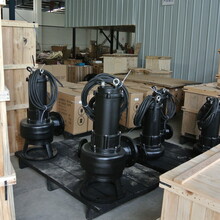 南京科莱尔CP型PE型铰刀泵/北京市场部