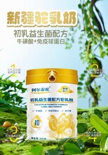 阿尔泰驼初乳益生菌配方驼奶粉300g批发