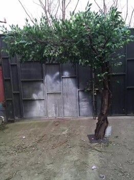 仿真假樹制作假樹制作廠家