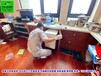 上海杀虫公司灭鼠除虫除跳蚤蟑螂上门灭白蚁服务