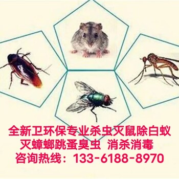 上海全新卫上门除四害杀虫灭鼠-灭鼠类防治A级服务