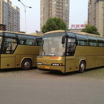 鹿邑至郸城汽车之旅，探索与发现，鹿邑至郸城汽车之旅，探索与发现之旅