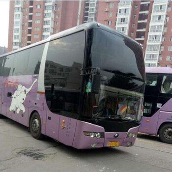 大巴）黃島到南召客運(yùn)客車