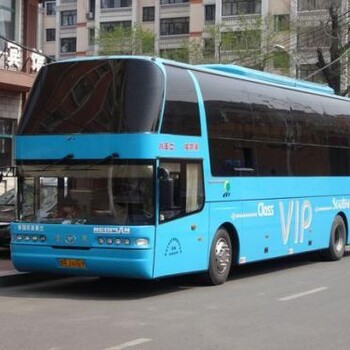 招遠到櫻桃園專線大巴車