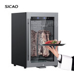 Sicao/新朝DA80S干式熟成牛排柜DRYAGER自制DA牛排排酸家用柜