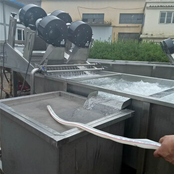氣泡果蔬清洗機廠家-氣泡式清洗機廠家-氣泡噴淋清洗機廠家