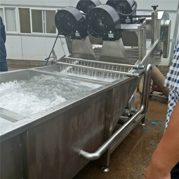 氣泡果蔬清洗機廠家-氣泡式清洗機廠家-氣泡噴淋清洗機廠家