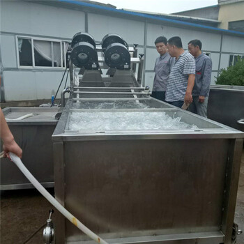 氣泡果蔬清洗機廠家-氣泡式清洗機廠家-氣泡噴淋清洗機廠家